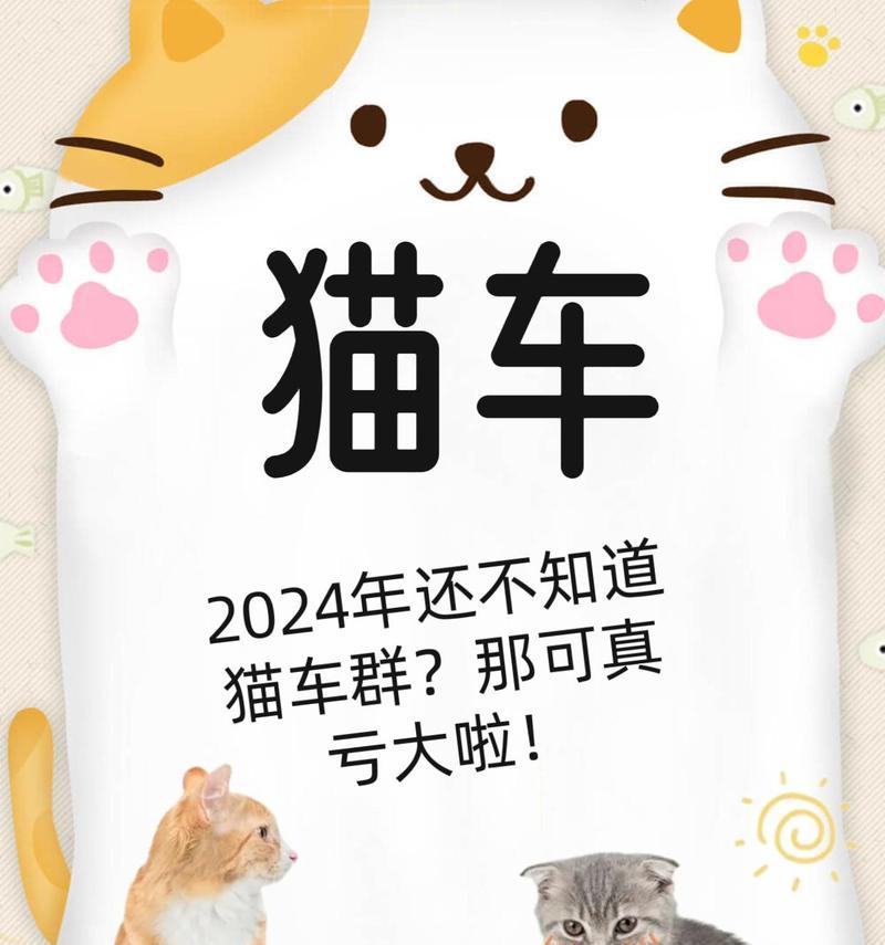 在车上卖猫粮给他人有哪些注意事项?