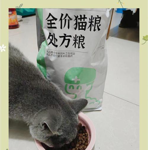 正常猫吃处方粮会有哪些影响?