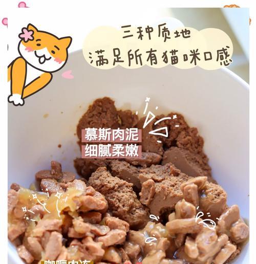 猫粮和罐头不吃的解决方法是什么?