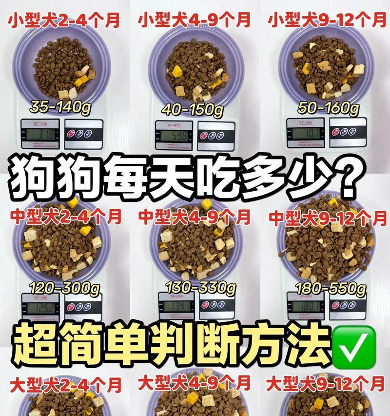 自制狗粮老狗不吃是什么原因?如何调整食谱提高食欲?