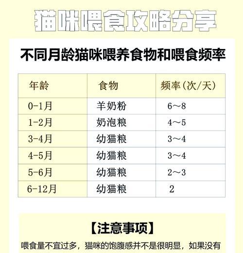 猫咪带主人看猫粮是什么意思?如何回应这种行为?