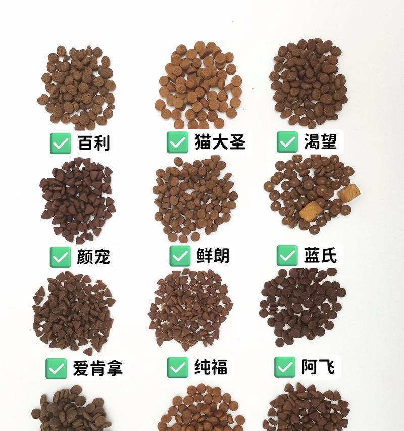 猫咪发情期应如何调整猫粮?