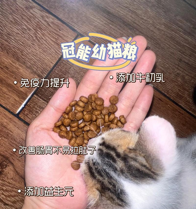 两个月大的猫咪吃十斤猫粮是否过量?