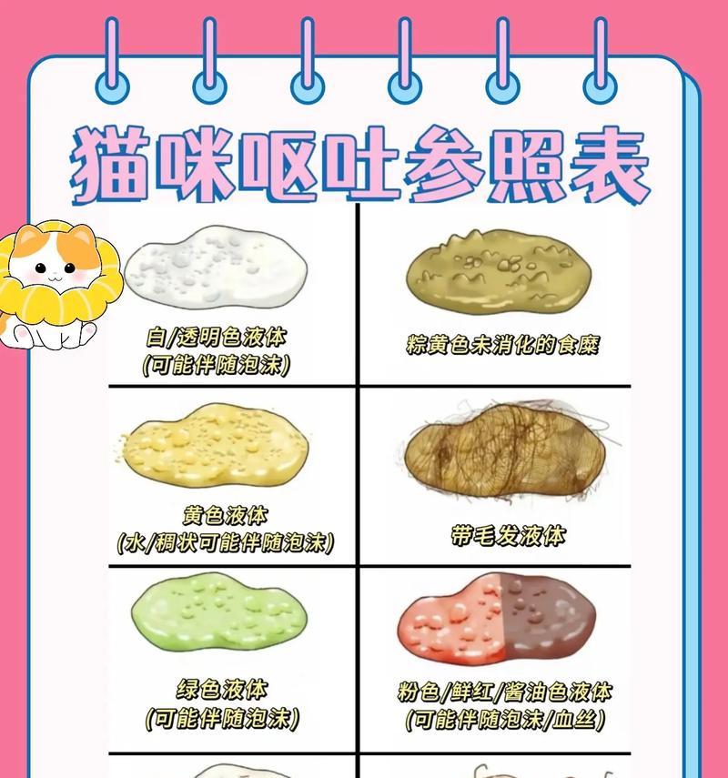 猫咪吐出猫粮是什么原因?