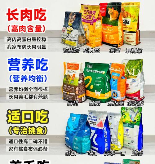 猫咪应该吃什么猫粮才好消化?