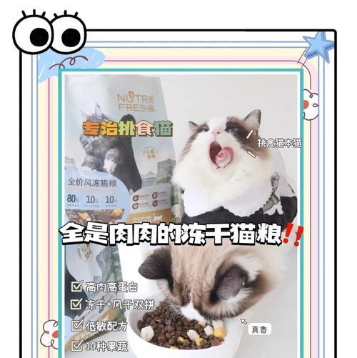 冻干幼猫粮试吃怎么吃?试吃冻干猫粮的最佳方式是什么?