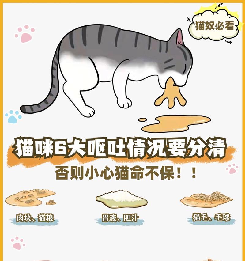 猫每次蹭猫粮怎么回事啊?蹭猫粮行为背后的动机是什么?
