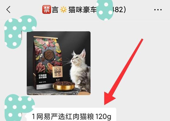 如何查询街猫购买猫粮的记录?