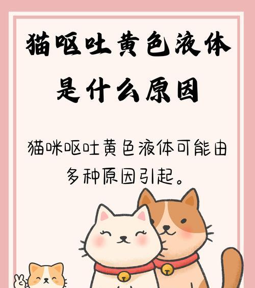 猫咪吐黄色物质且含有猫粮是什么原因?