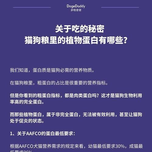猫粮脂肪16含量高吗?这对猫咪健康有何影响?