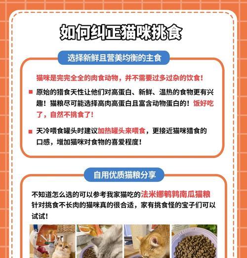 挑食的猫咪应该吃什么猫粮?如何改善猫咪挑食?