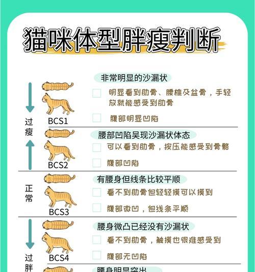 泡软猫粮导致软便怎么办?