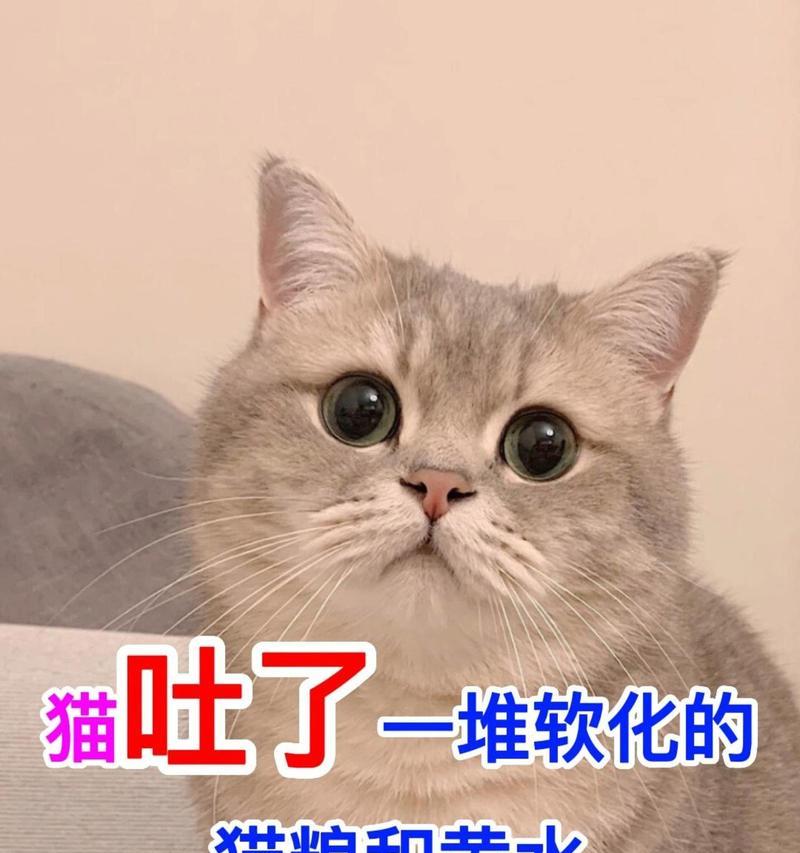 猫一吃猫粮就吐水是正常现象吗?还是有健康问题?