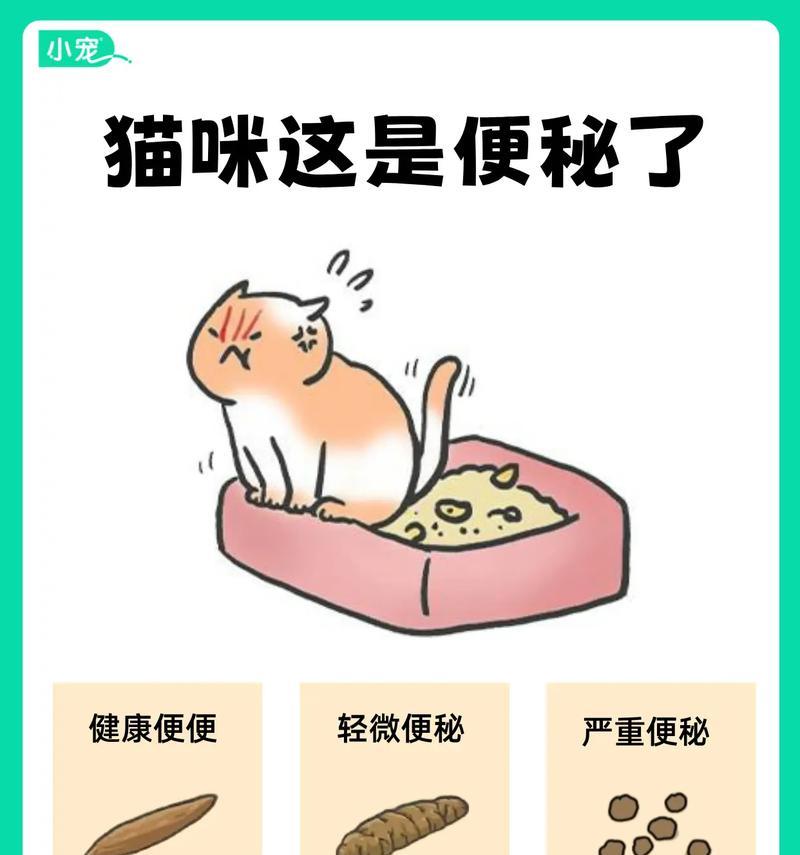 新猫粮导致便秘怎么办?