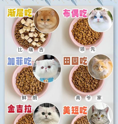 猫粮搭配哪种奶更美味?