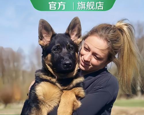 德牧繁育的经济成本是多少?需要考虑哪些因素?