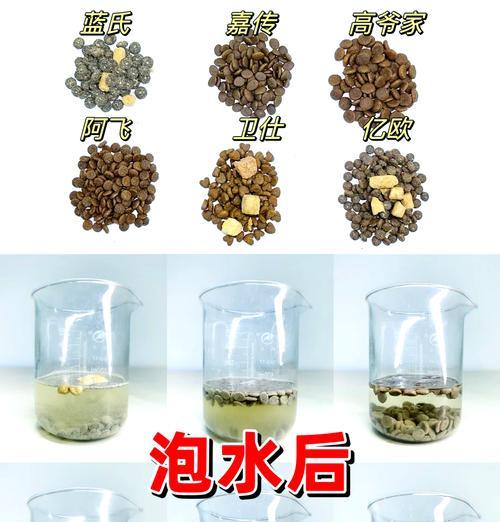 猫粮泡水后碎裂的原因是什么?