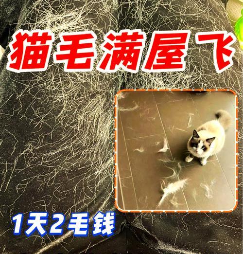 猫咪掉毛严重时如何处理遗弃的猫粮?有哪些处理方法?