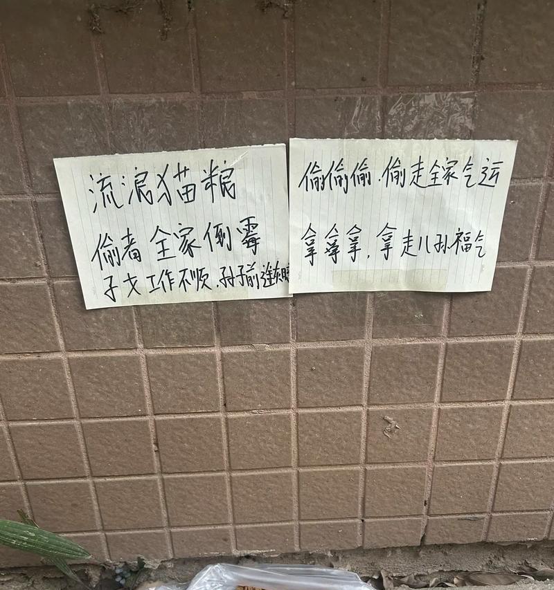 如何防止流浪猫偷吃猫粮?有哪些有效方法?
