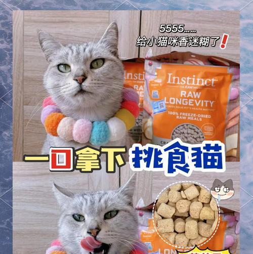 猫粮冻干与主食冻干有何不同?选择时应注意什么?
