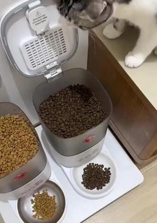 猫粮干燥剂的吸水原理是什么?