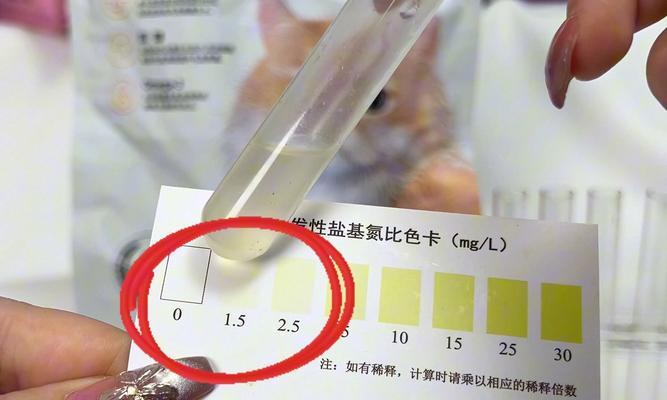 猫粮漏气怎么测试？如何确保猫粮的新鲜度和品质？