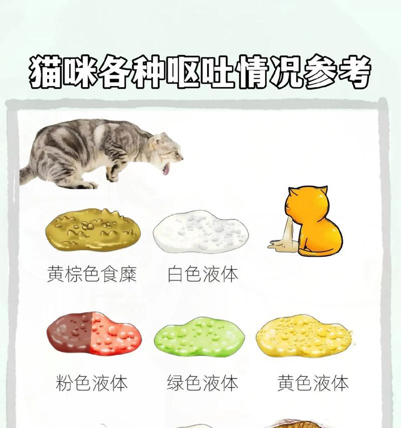 猫咪食用猫薄荷饼干后呕吐如何处理?