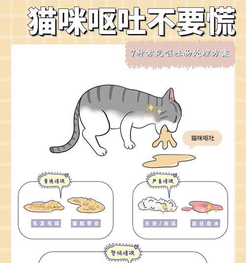 猫食后呕吐原因及应对措施是什么?