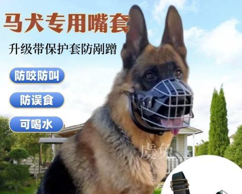 德牧铁狗嘴套多少钱?如何选择合适的嘴套?