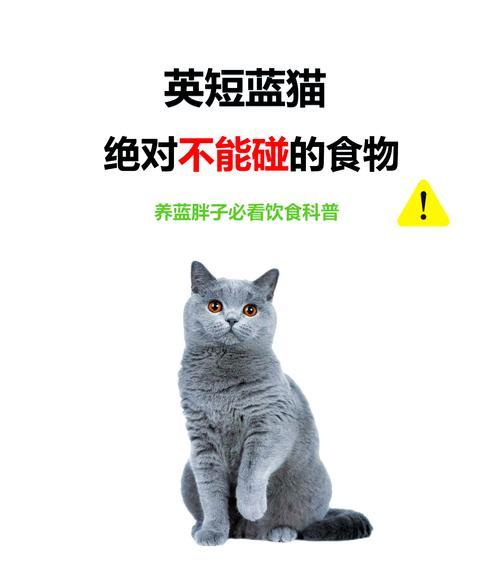 蓝猫对猫粮不挑剔的原因探讨?