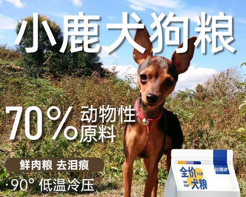 小鹿犬吃蒸鸡肉和狗粮好吗?对健康有何影响?