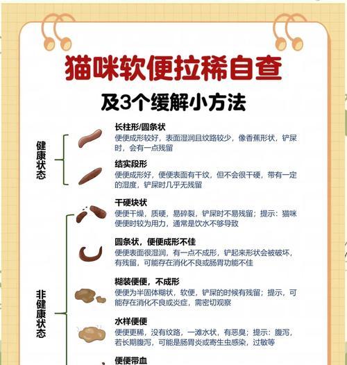 猫咪吃完湿猫粮后拉稀怎么办?如何进行有效的处理?