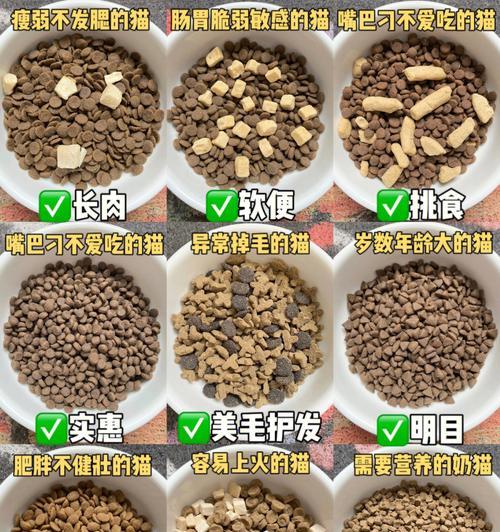 吐司猫适合哪种猫粮?