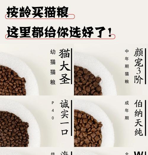 五个月猫咪的猫粮选择指南?