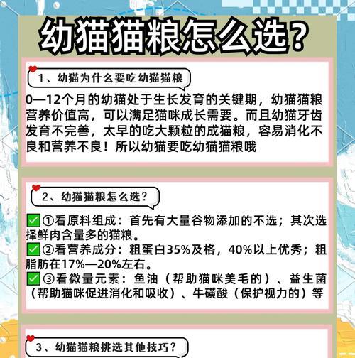 临期猫粮对幼猫有何影响及喂养建议?