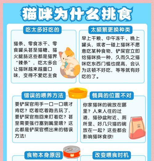 为什么猫咪会把猫粮给主人？这种行为背后的含义是什么？