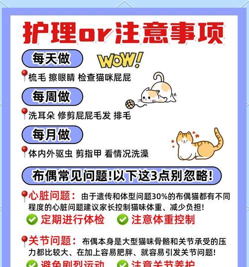 布偶猫食用醇粹猫粮后呕吐的原因是什么?