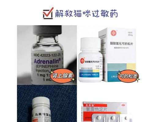 猫粮过敏后应该吃什么药?