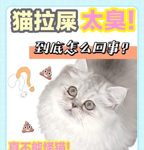 猫拉屎后扒猫粮的行为有何含义?