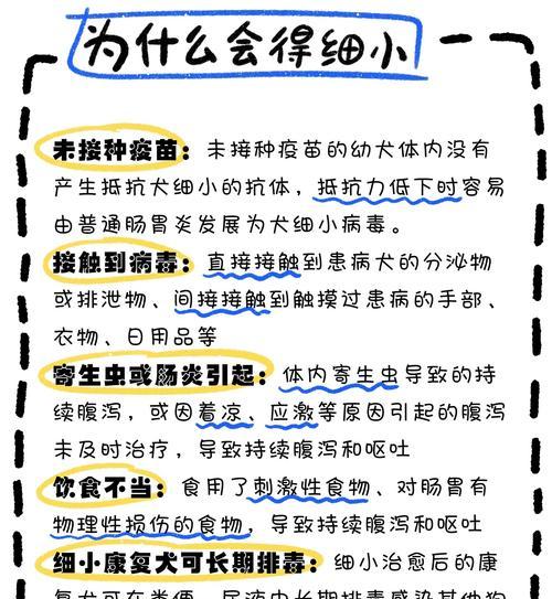 需要特别注意什么?