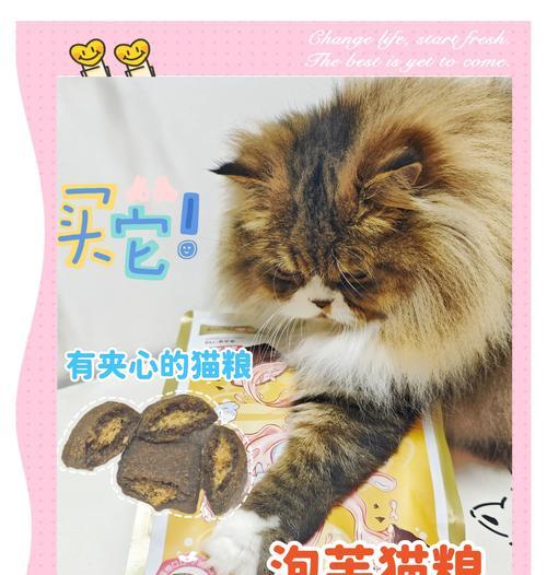 泡猫粮怎么泡作湿粮呢