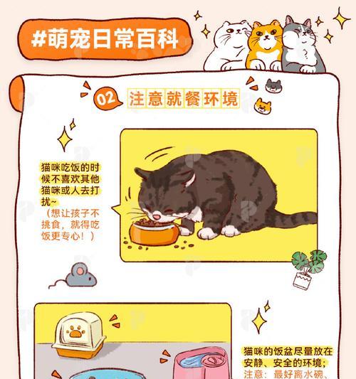 馋猫为何偏爱偷吃猫粮?如何防止猫咪偷食?