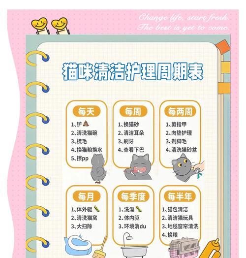 小猫吃猫粮嘴巴变脏怎么办?清洁和预防措施有哪些?