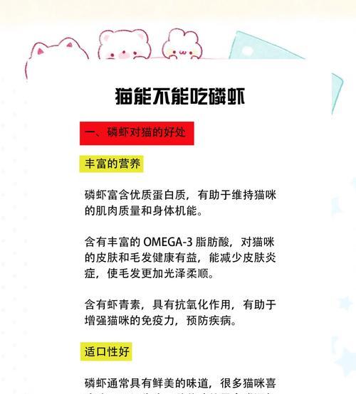 宠物猫可以吃虾肉吗?有哪些注意事项?