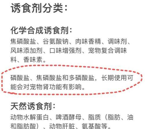 吃猫粮的猫为什么会变傻?如何改善?