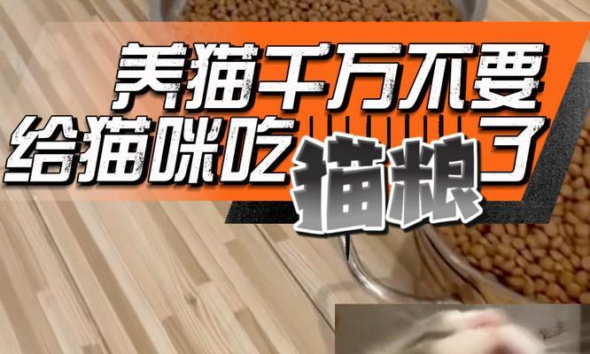 如果猫咪不吃猫粮应该怎么办?有哪些方法可以鼓励猫咪吃猫粮?