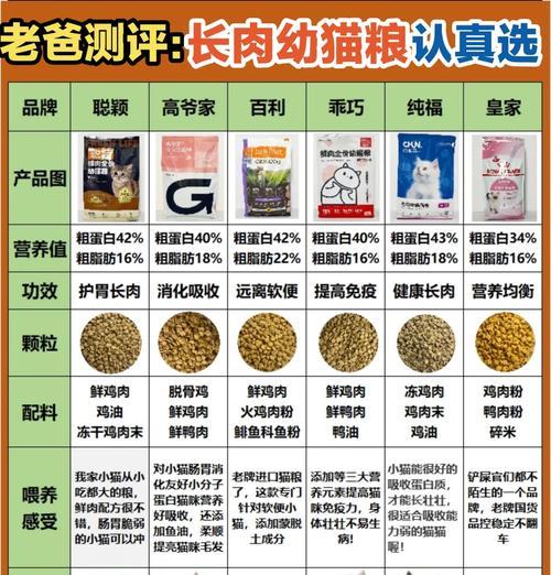 养殖猫舍应如何选择猫粮?有哪些标准和建议?