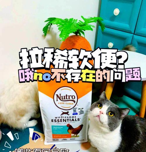 猫咪几天不拉屎应该吃什么药?如何处理猫粮引起的便秘?