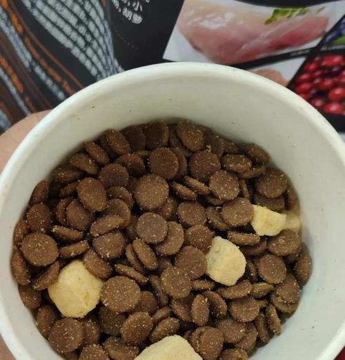猫咪排便臭且粘稠应该吃什么猫粮?如何改善?