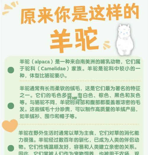 羊驼吐口水会传播疾病吗?